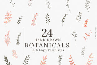 Botanical Graphics & Illustrations Review